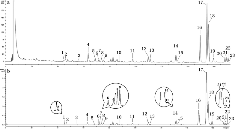 Fig. 2