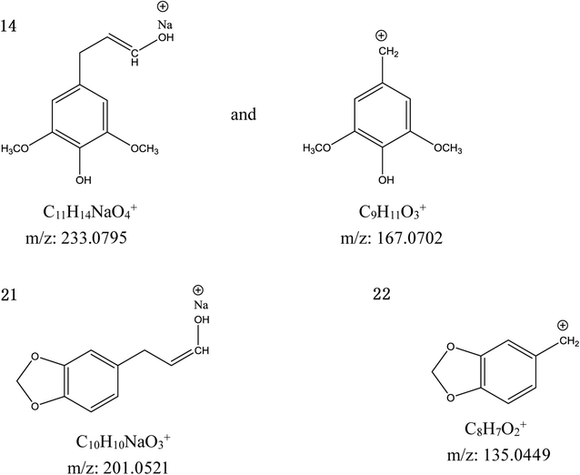 Fig. 5