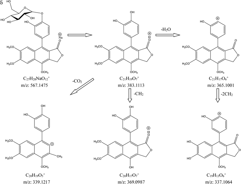 Fig. 6