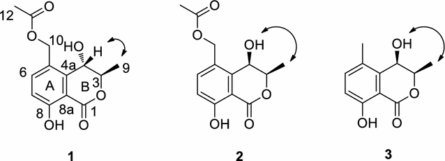 Fig. 3