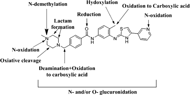 Fig. 20