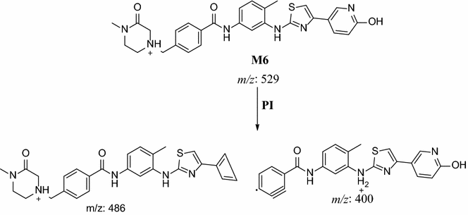 Scheme 5