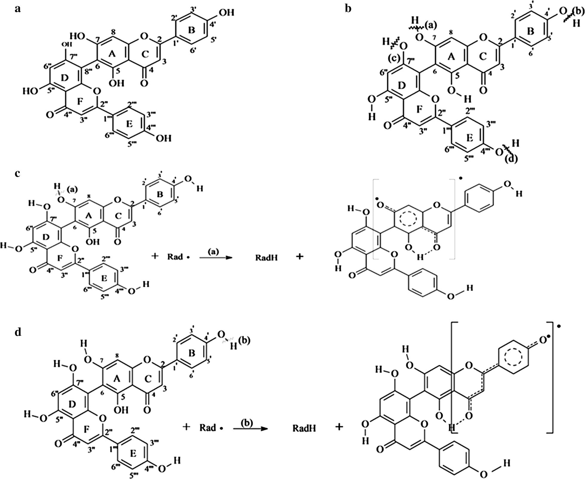 Fig. 8