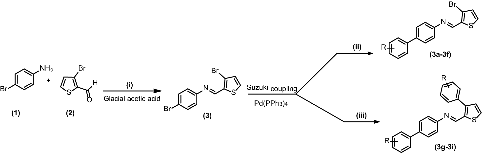 Scheme 1