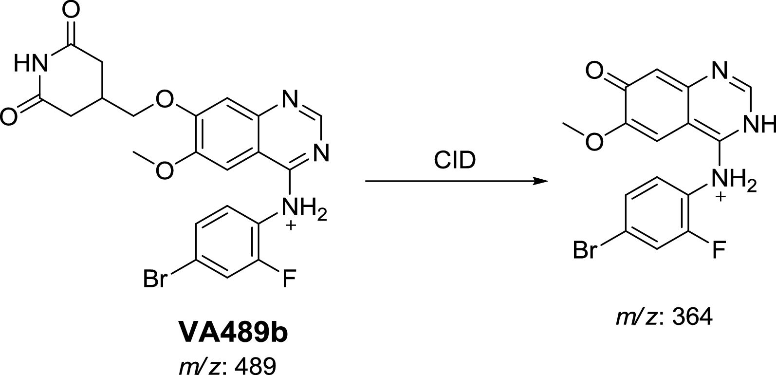 Scheme 5