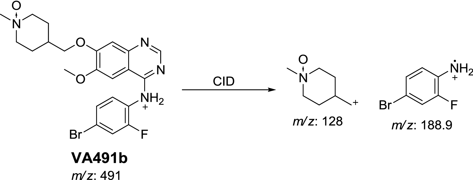 Scheme 7