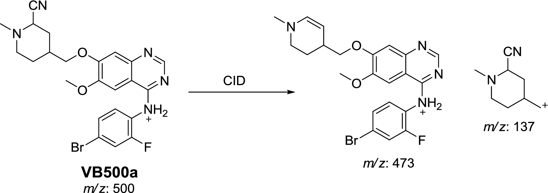 Scheme 9