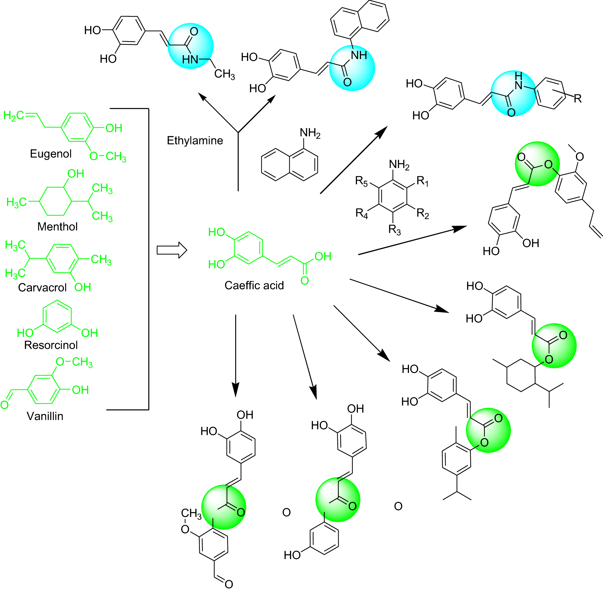 Fig. 2