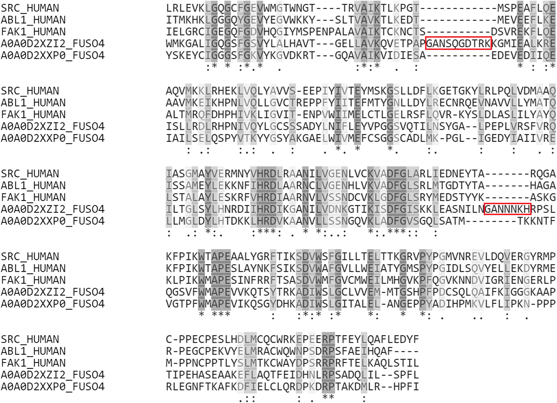 Fig. 1