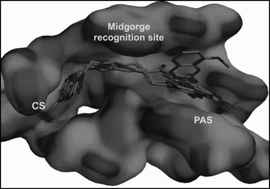 Fig. 34