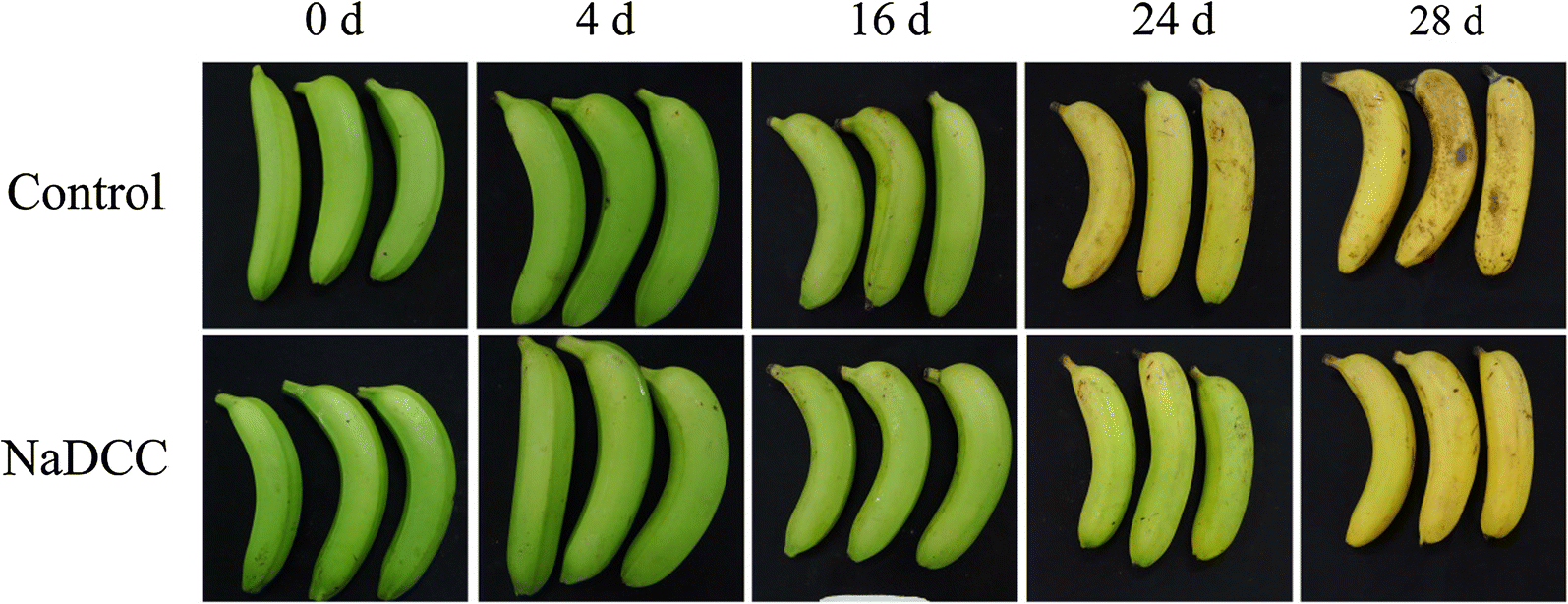 Fig. 2