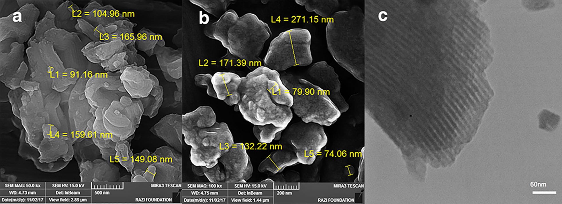 Fig. 3