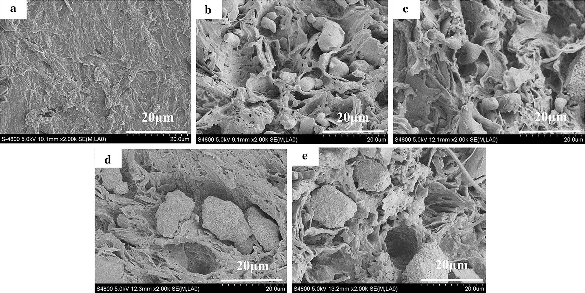 Fig. 6