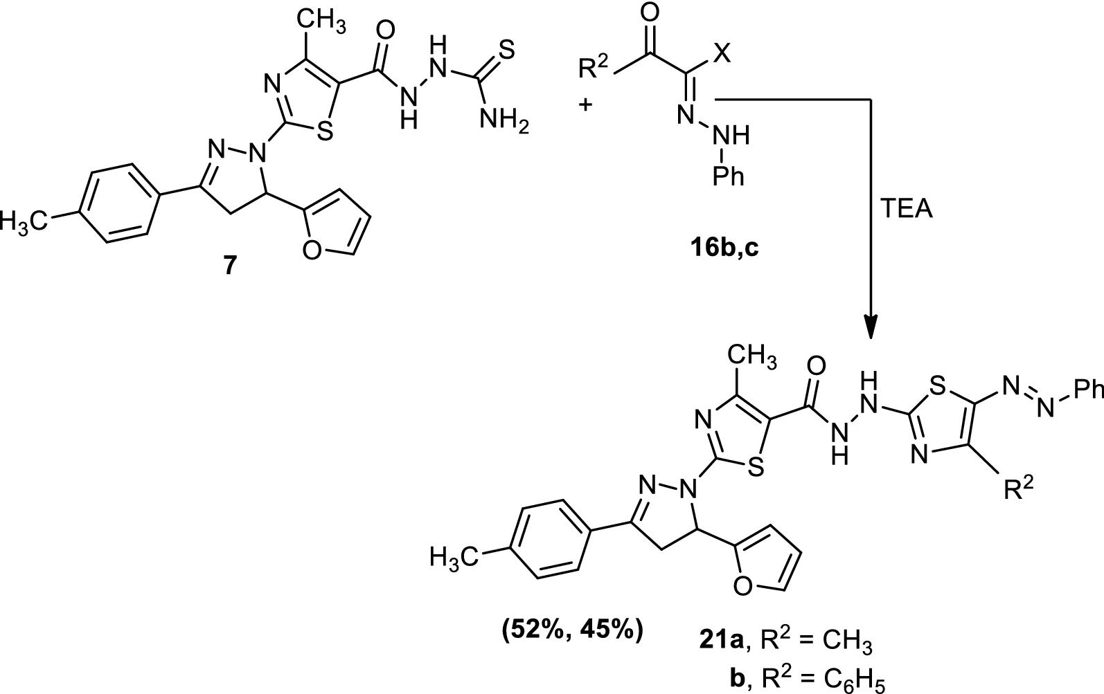 Scheme 5