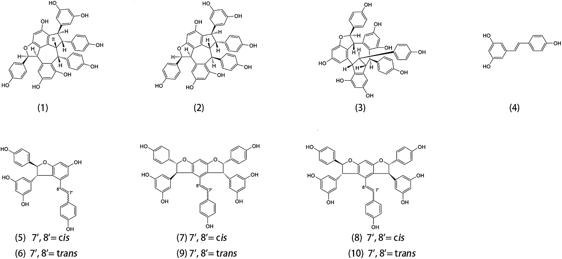 Fig. 2