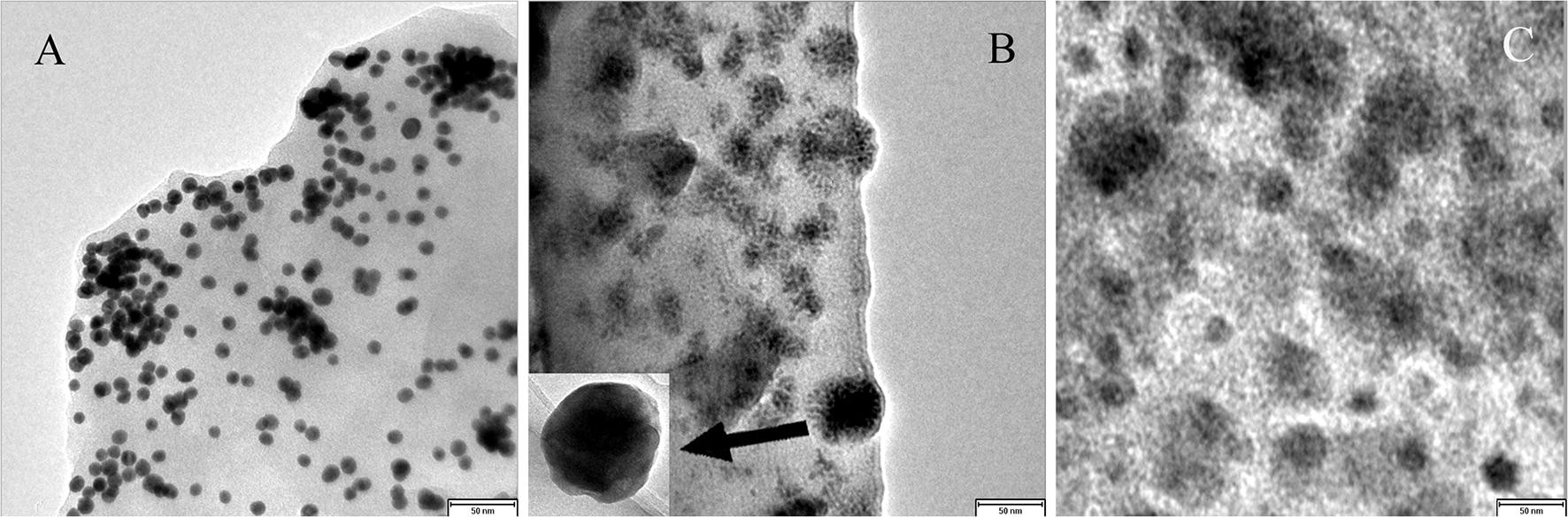 Fig. 1