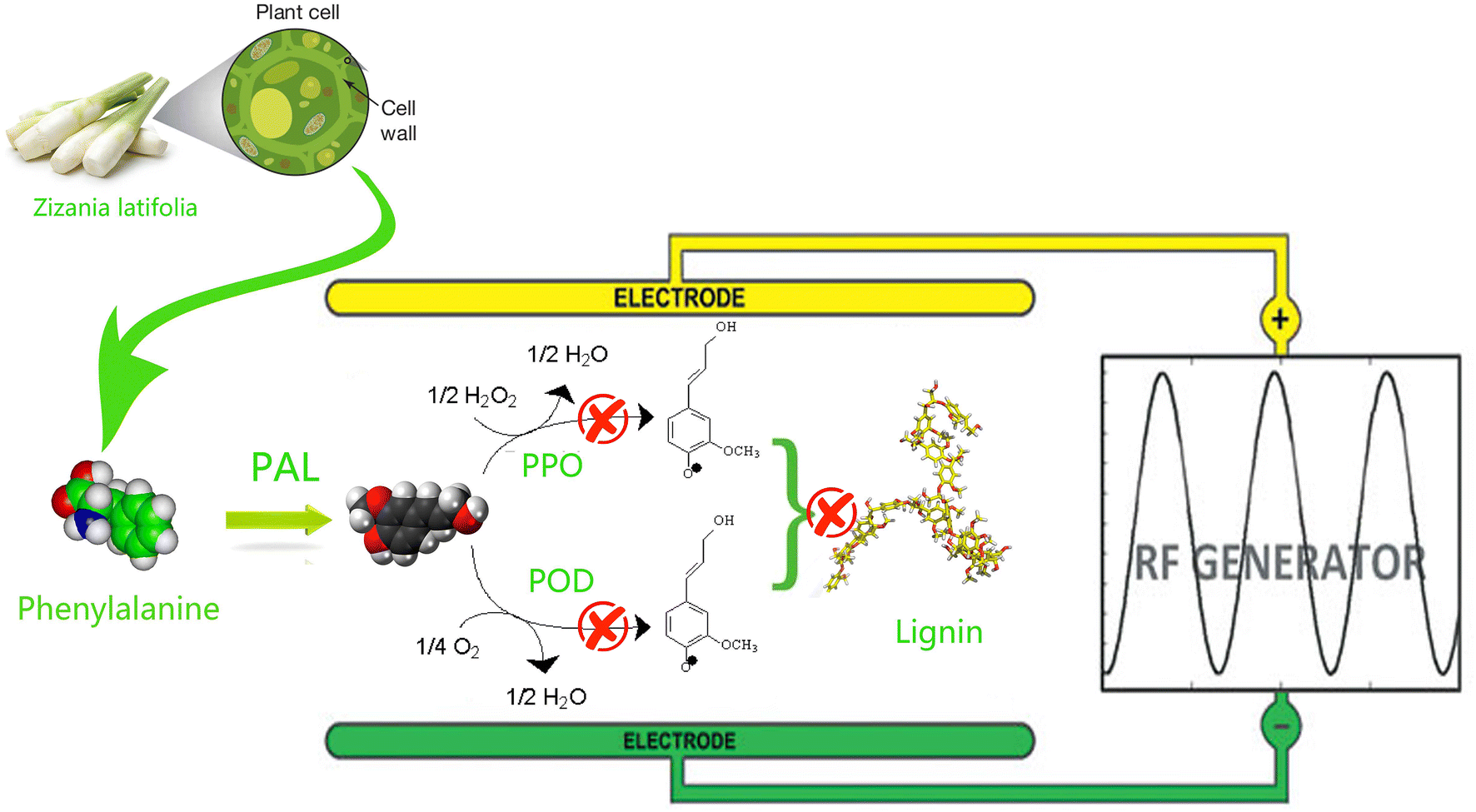 Fig. 2