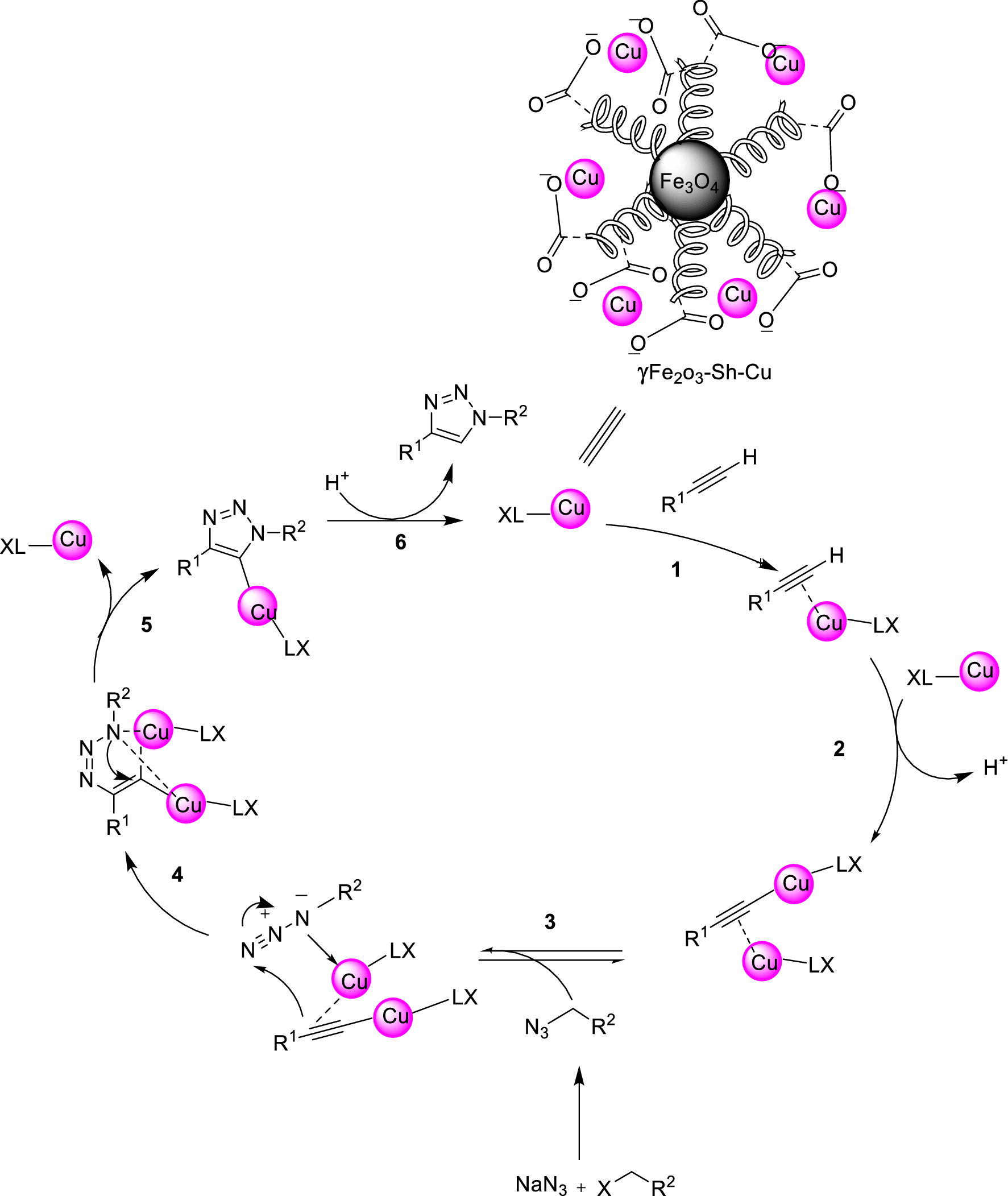 Fig. 17