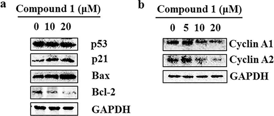 Fig. 6