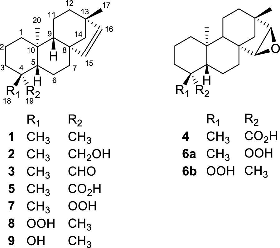 Fig. 1