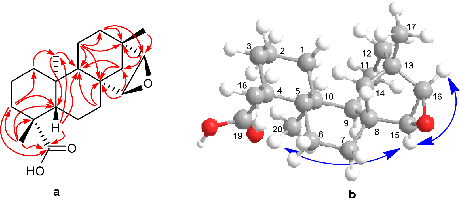 Fig. 3