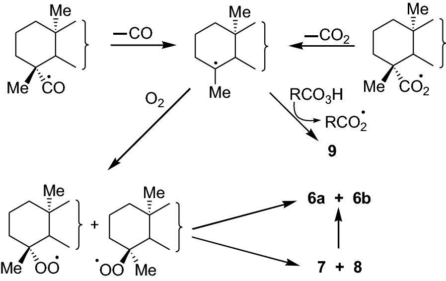 Scheme 2