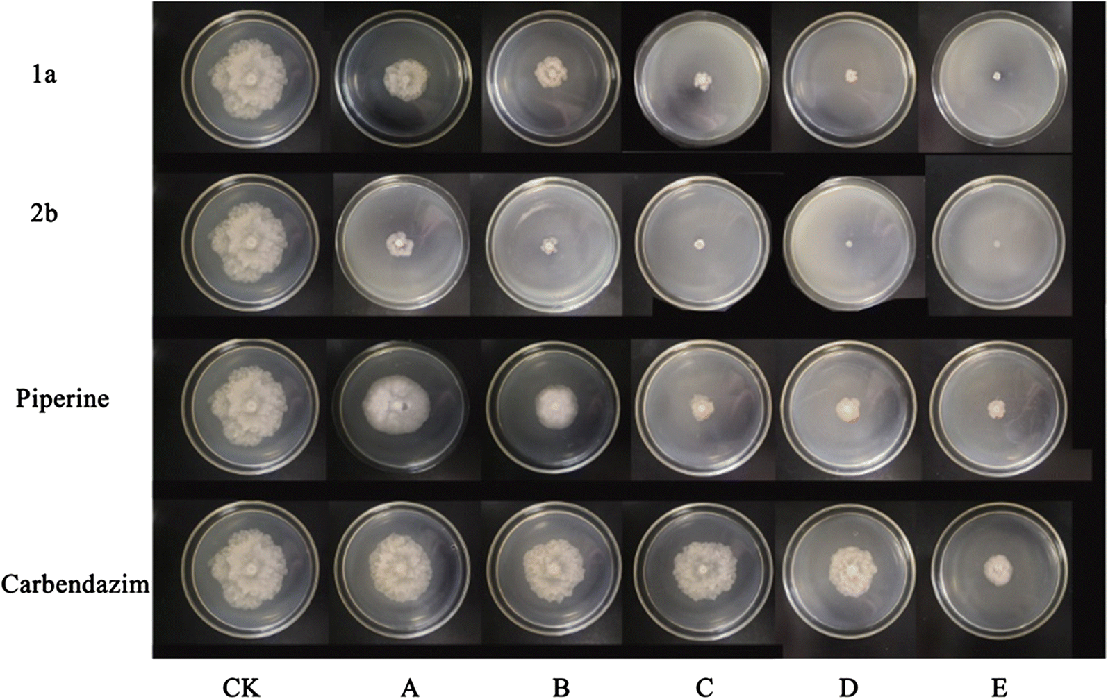 Fig. 3