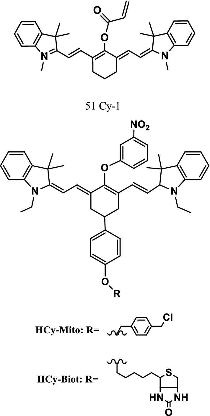 Fig. 30