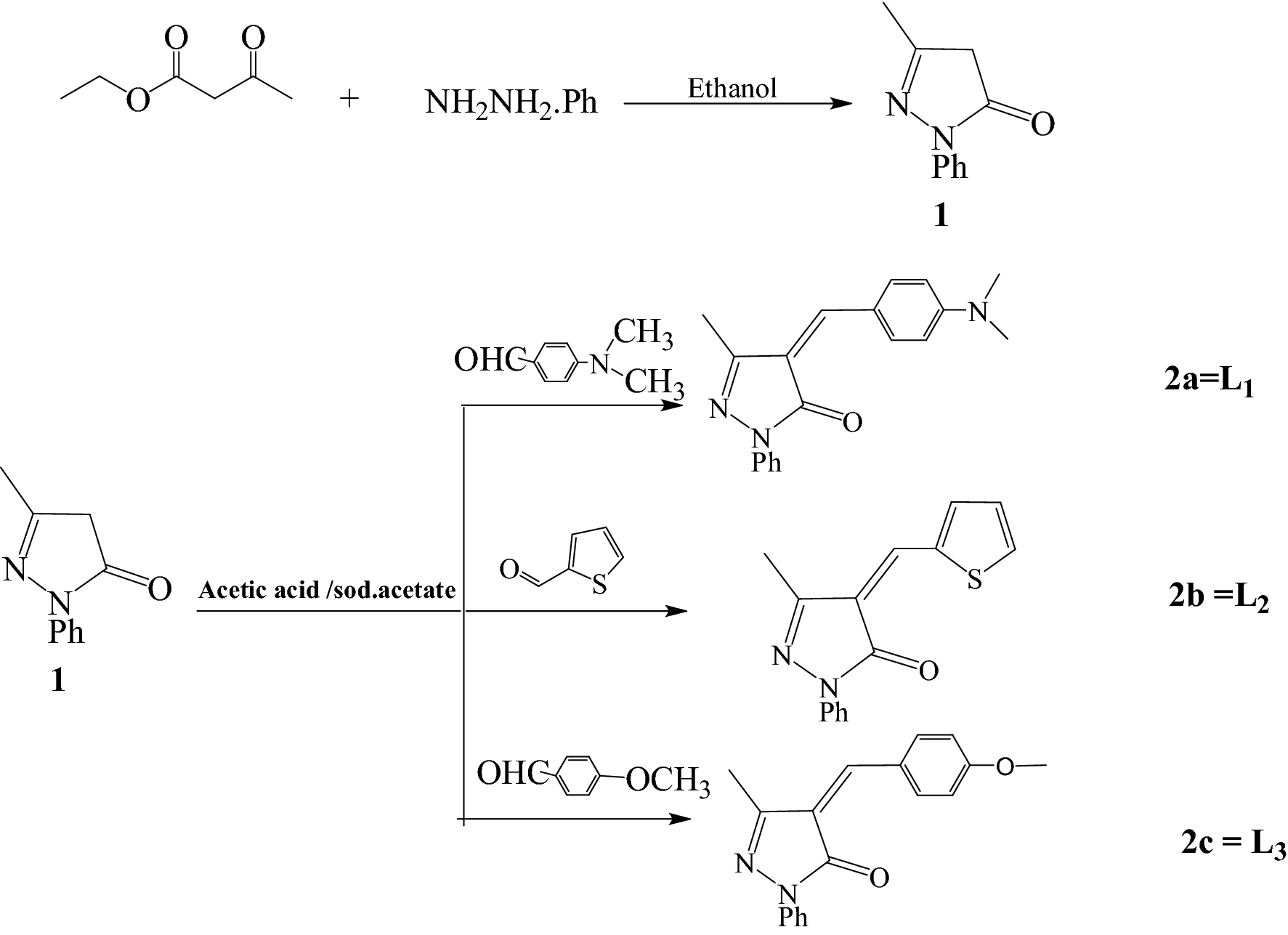 Scheme 1