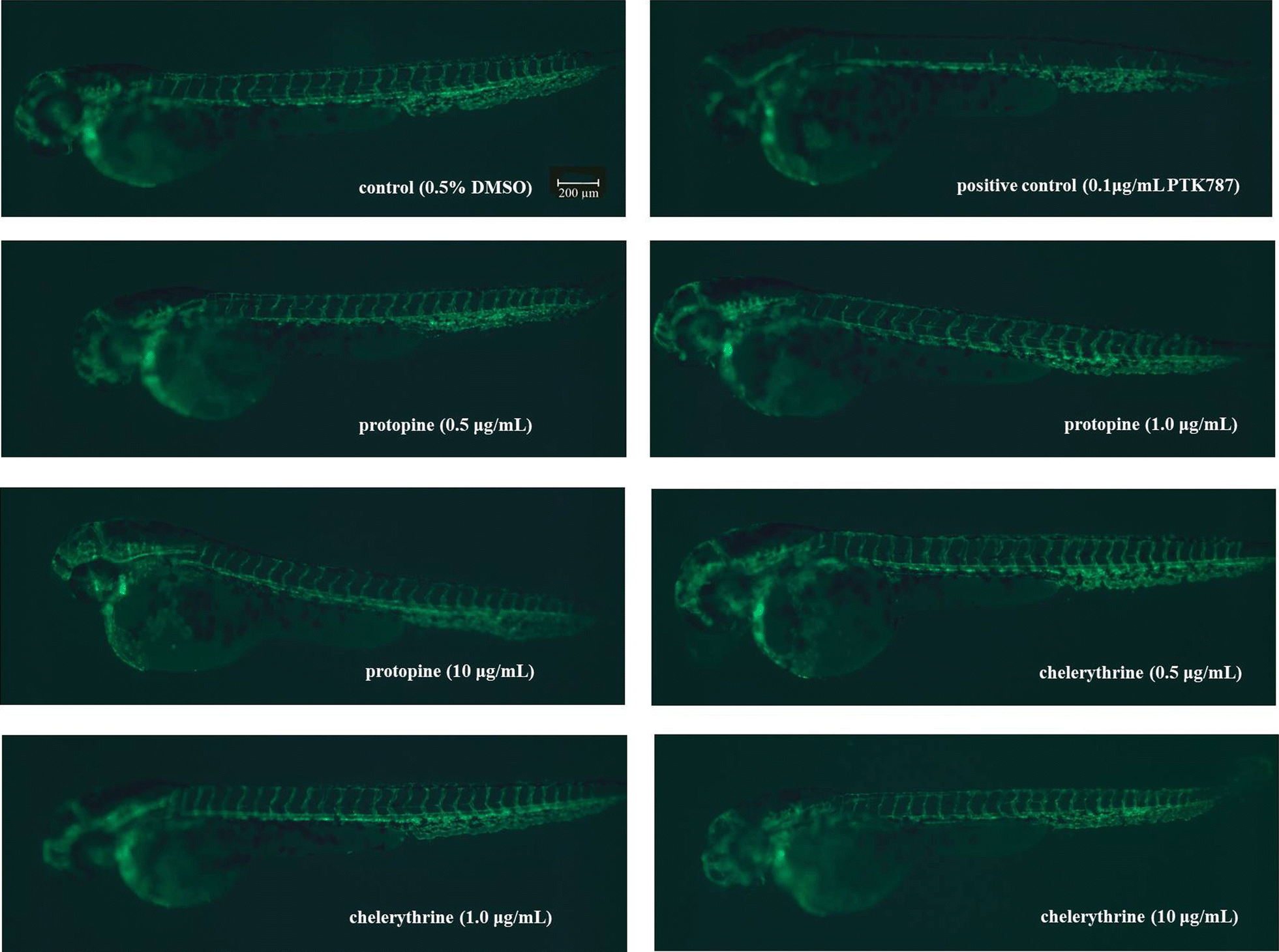 Fig. 8