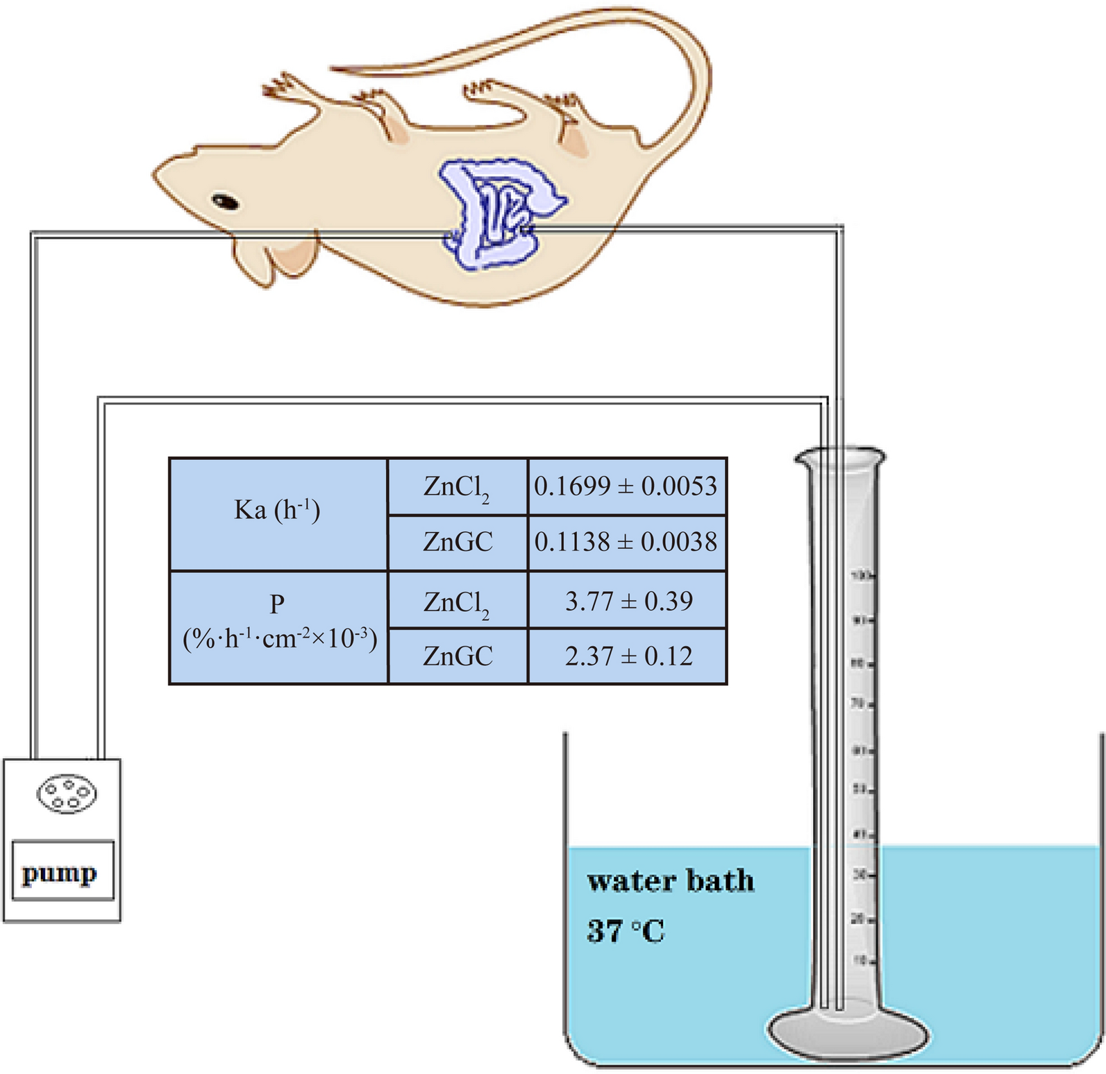 Fig. 6