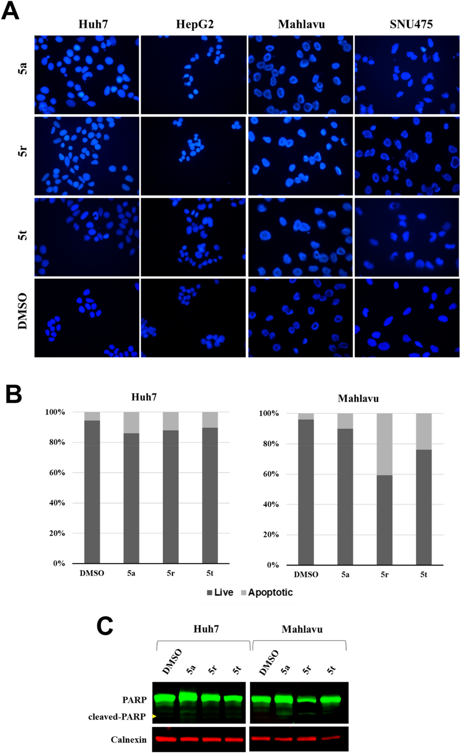 Fig. 4