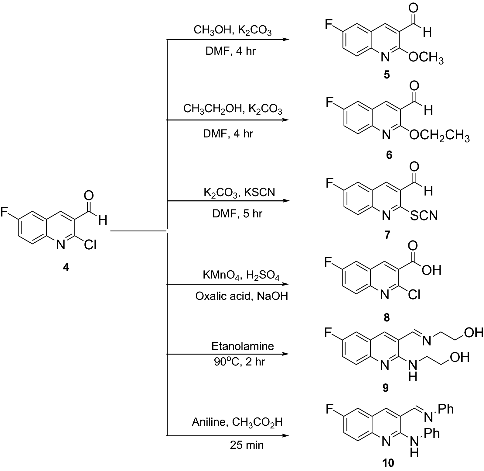 Scheme 2