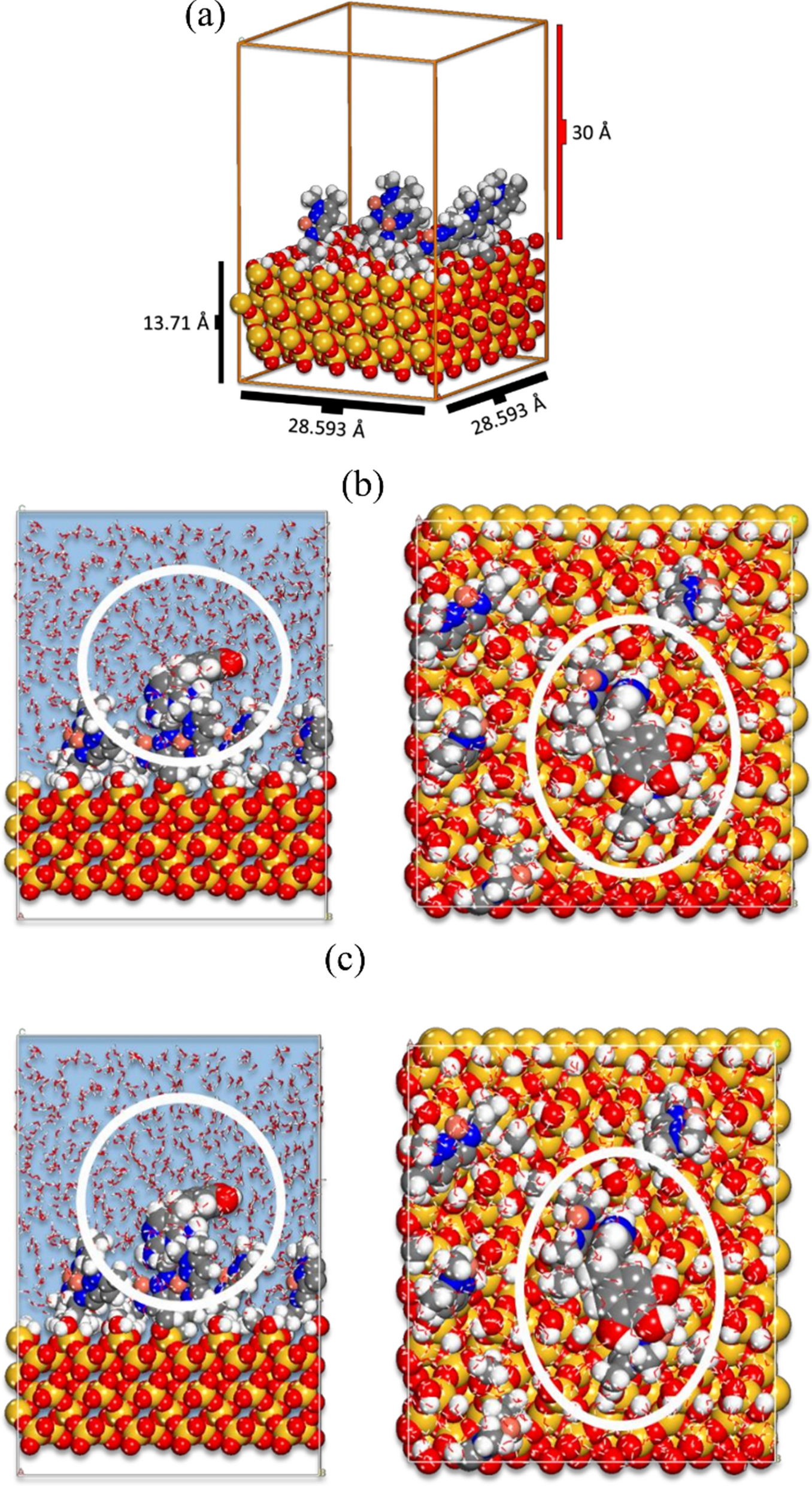 Fig. 12