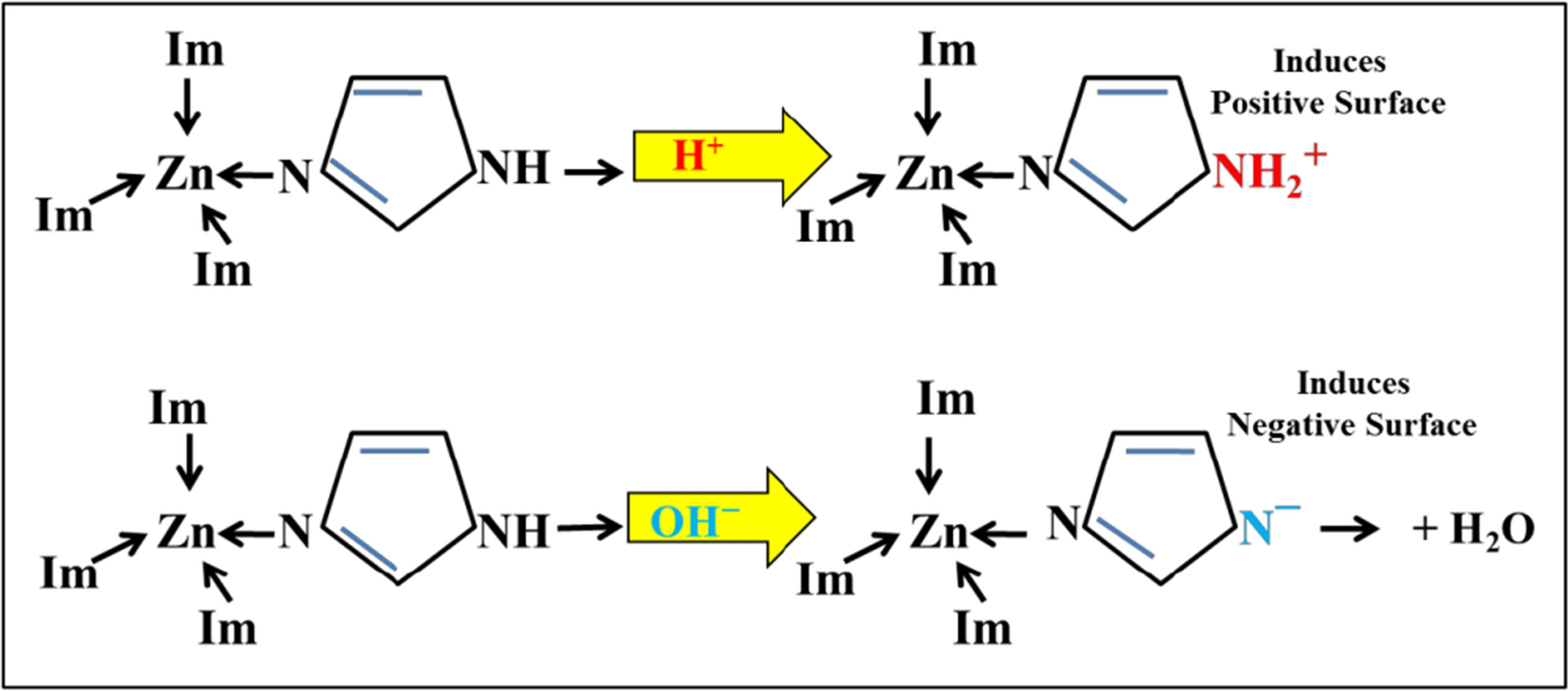 Fig. 10