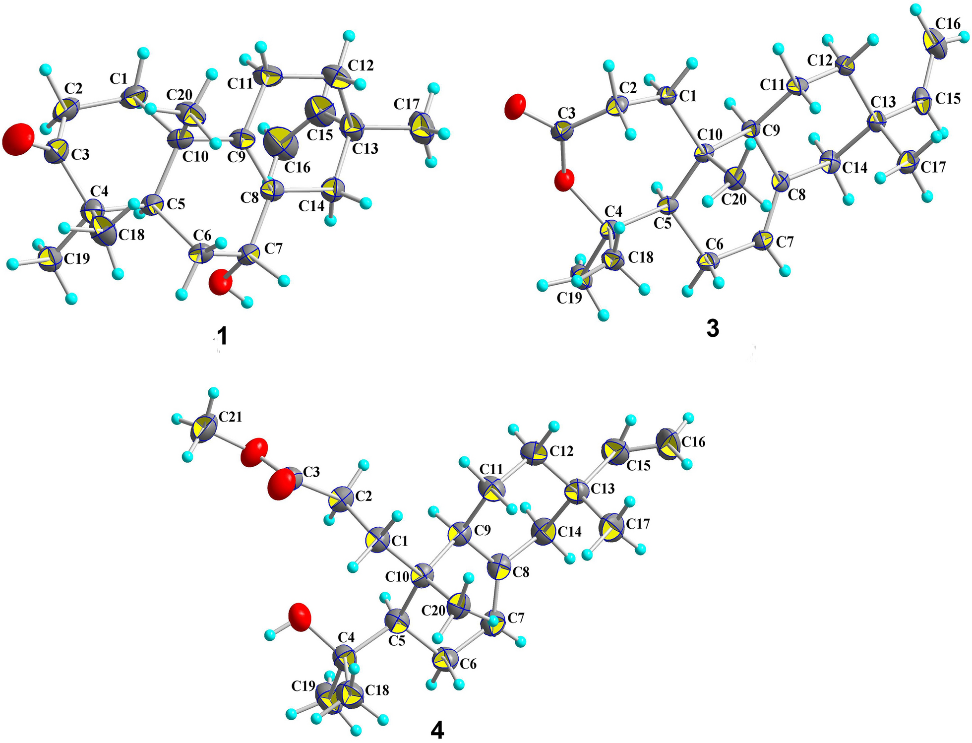 Fig. 4