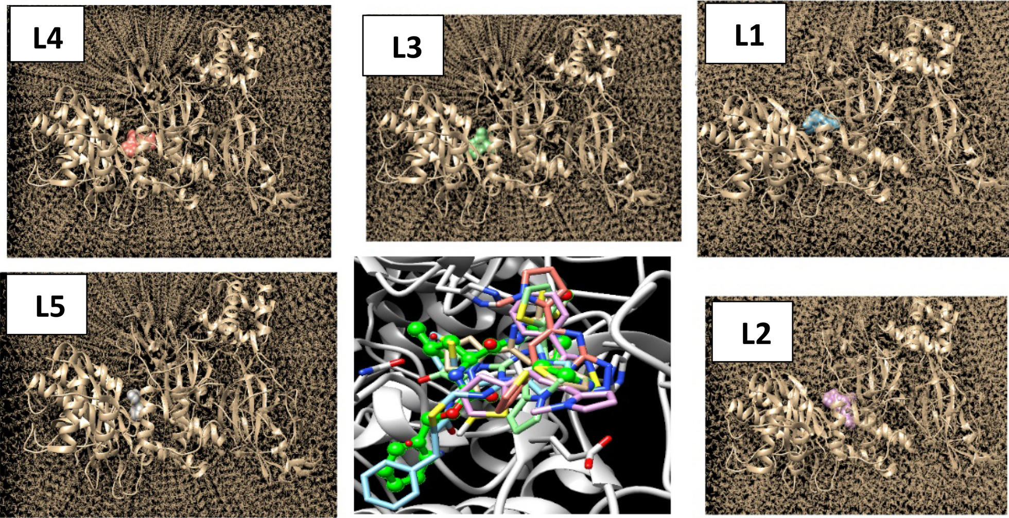 Fig. 10