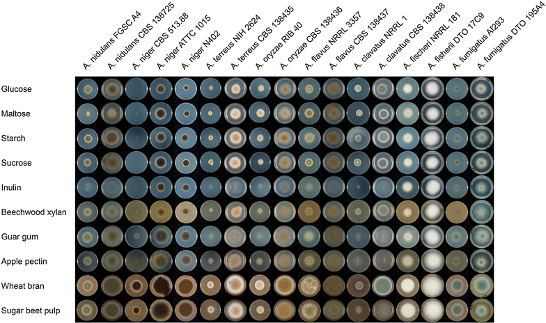 Fig. 2