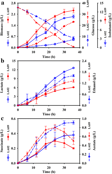 Fig. 4