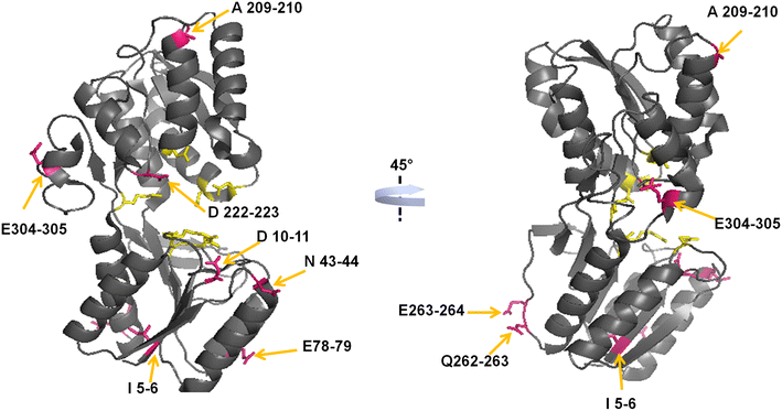 Fig. 1