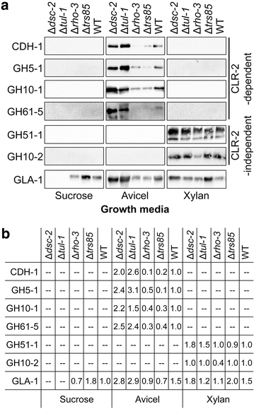 Fig. 2