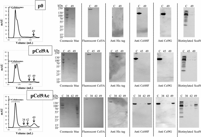 Fig. 6