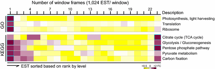 Fig. 5