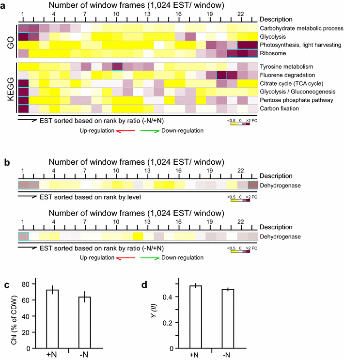 Fig. 6