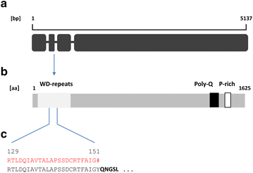 Fig. 4