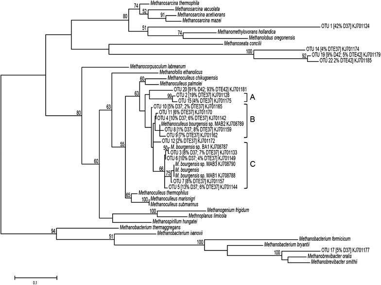 Fig. 4