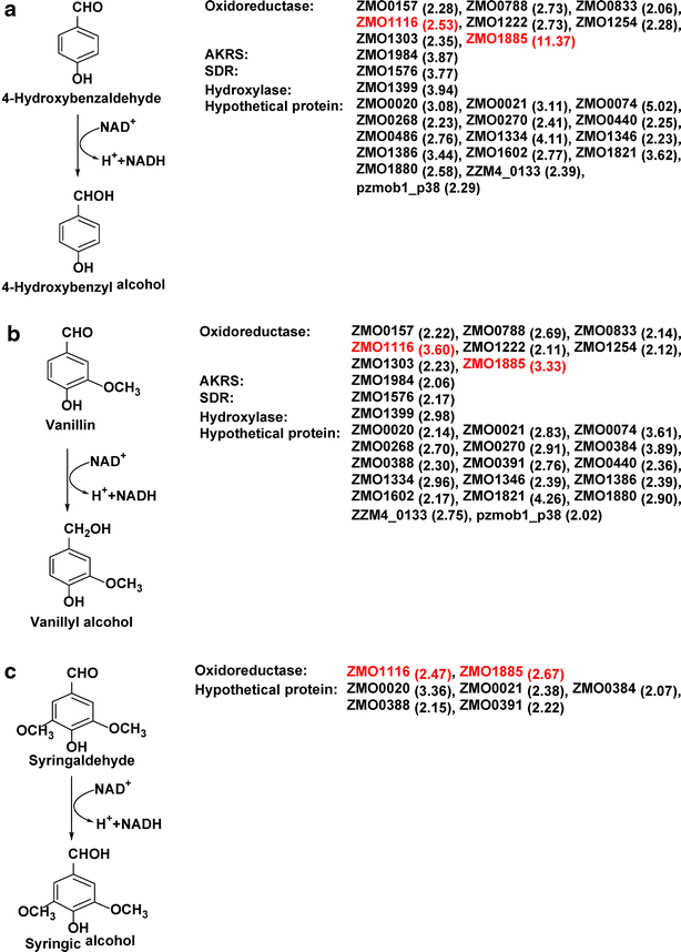 Fig. 5