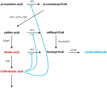 Fig. 5