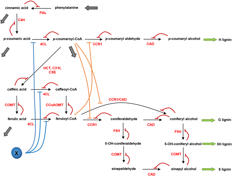 Fig. 9