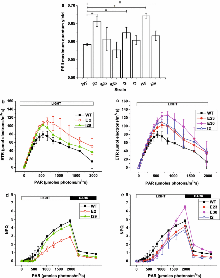 Fig. 6